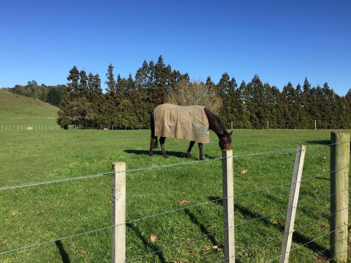 Veld View Bed And Breakfast Tuakau 외부 사진