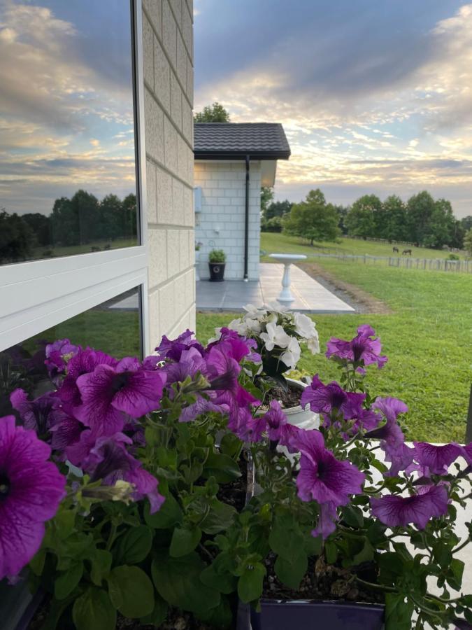 Veld View Bed And Breakfast Tuakau 외부 사진