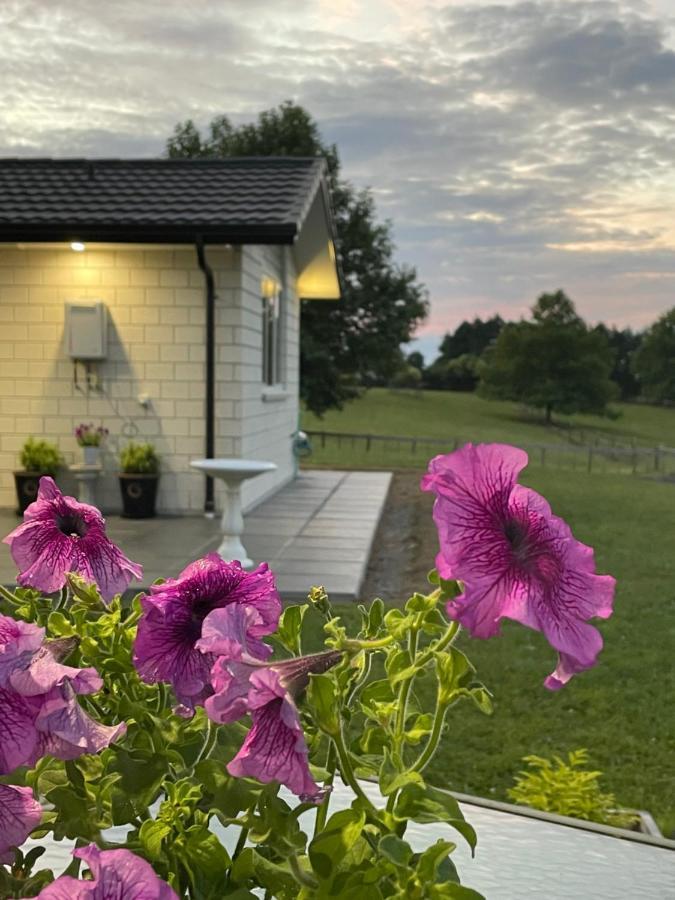 Veld View Bed And Breakfast Tuakau 외부 사진