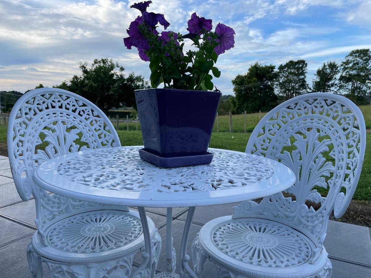 Veld View Bed And Breakfast Tuakau 외부 사진