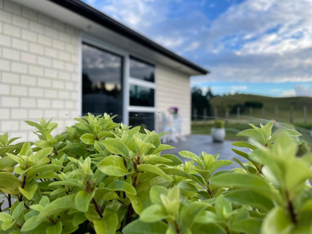 Veld View Bed And Breakfast Tuakau 외부 사진