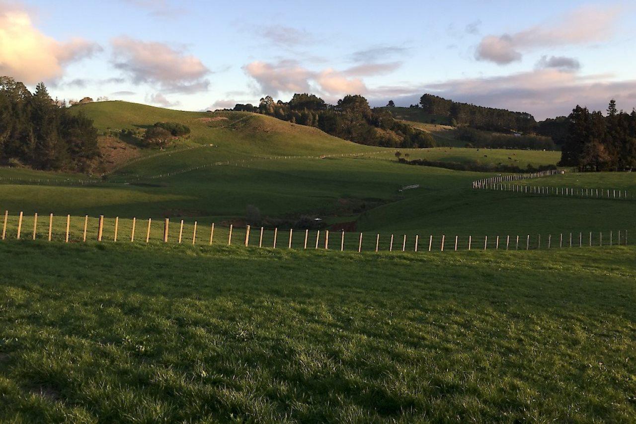 Veld View Bed And Breakfast Tuakau 외부 사진